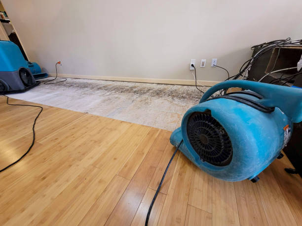Professional Ceiling Water Damage Repair technician working in Roscommon, MI