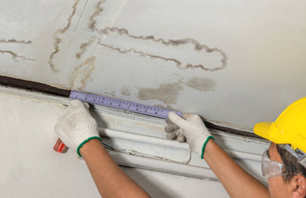 Affordable Ceiling Water Damage Repair solutions in Roscommon, MI